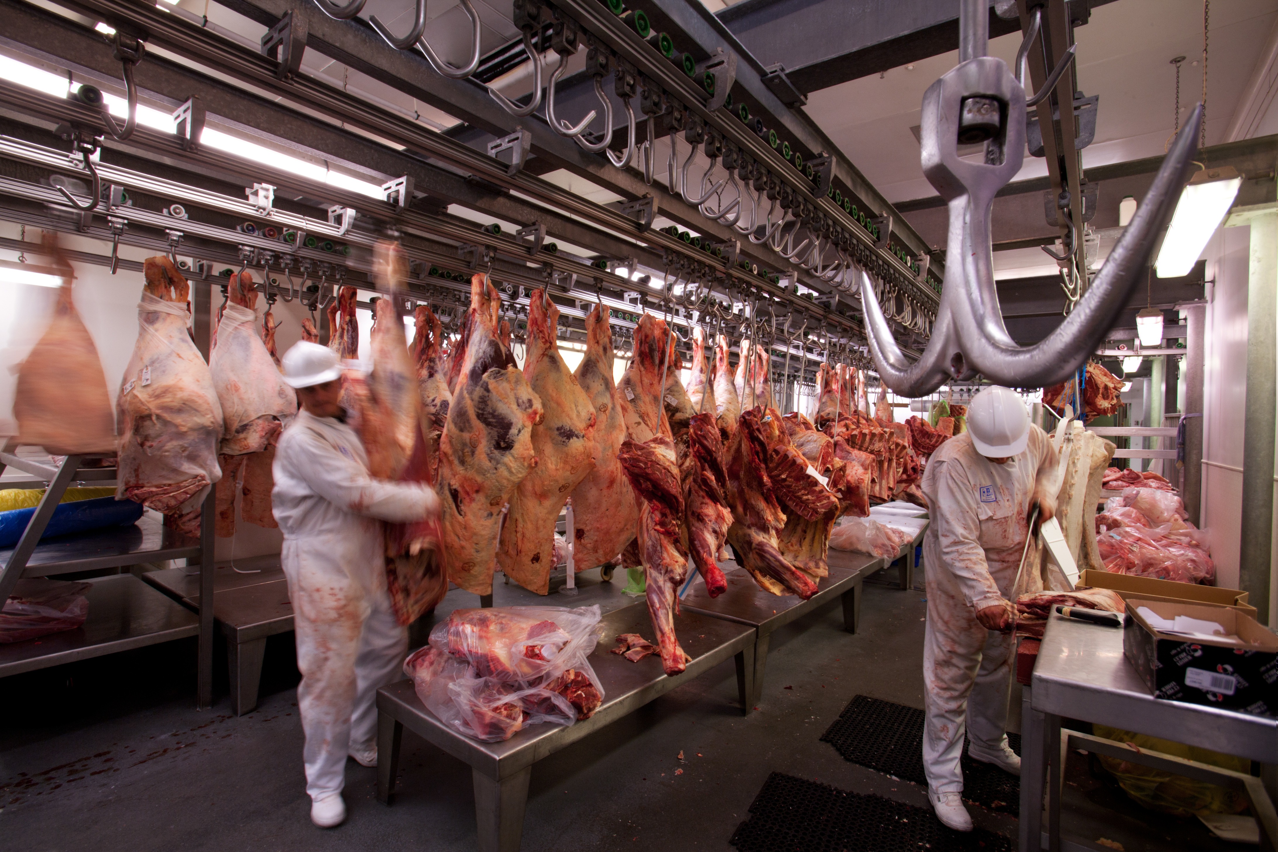 Limpieza en la Higiene Alimentaria