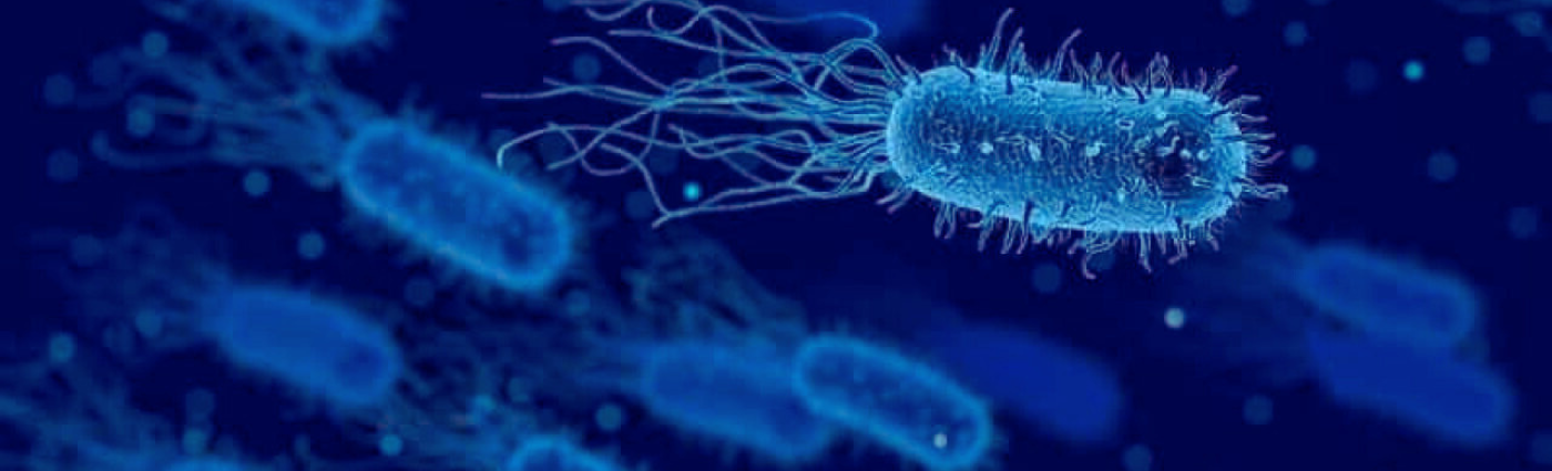 Nueva Normativa sobre Listeria: Reglamento 2024/2895